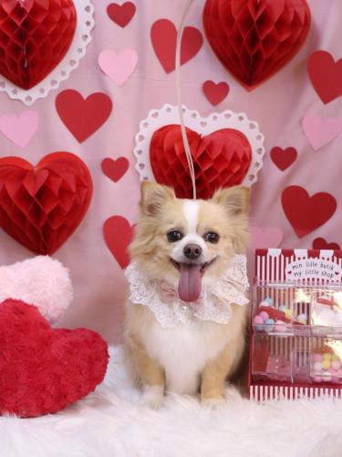 20240215マロ太くん